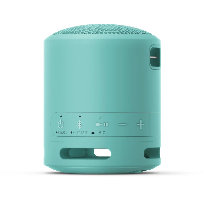 Loa di dong SONY SRS XB13LICE Loa di dong 22383 19 3